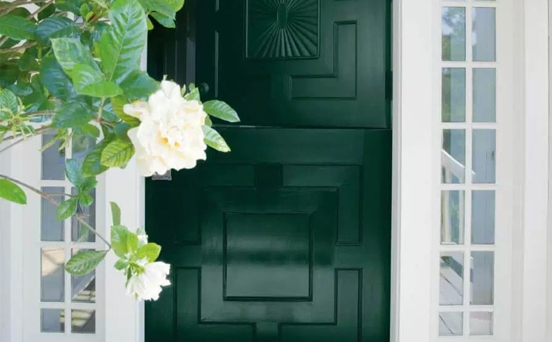 Green With Envy Dutch Style Door