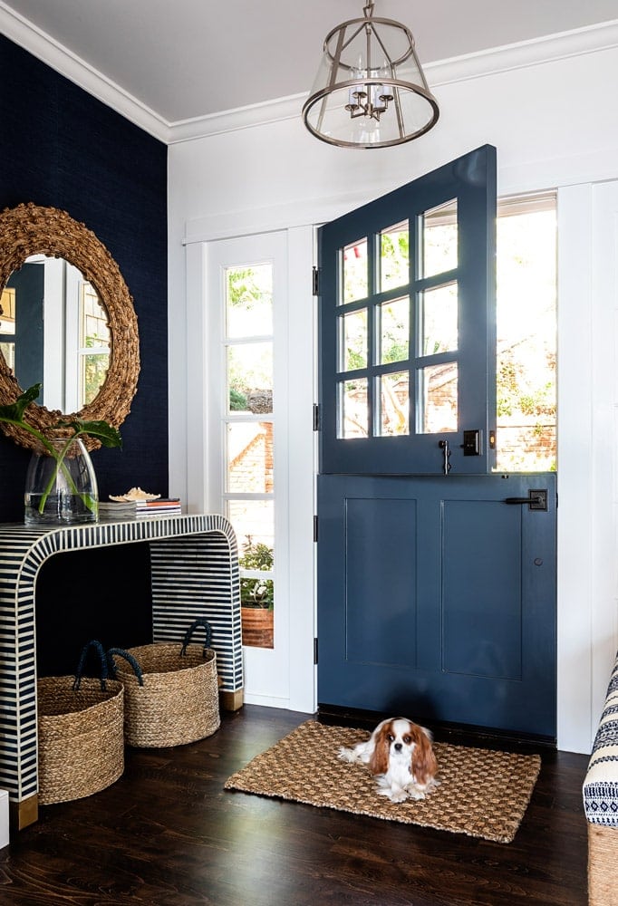 Breezy Blue Pet Friendly Interior Design